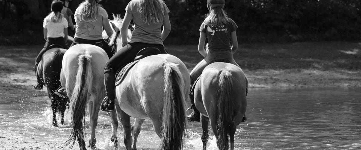 Zwart wit foto met 5 paarden bereden van de achterkant